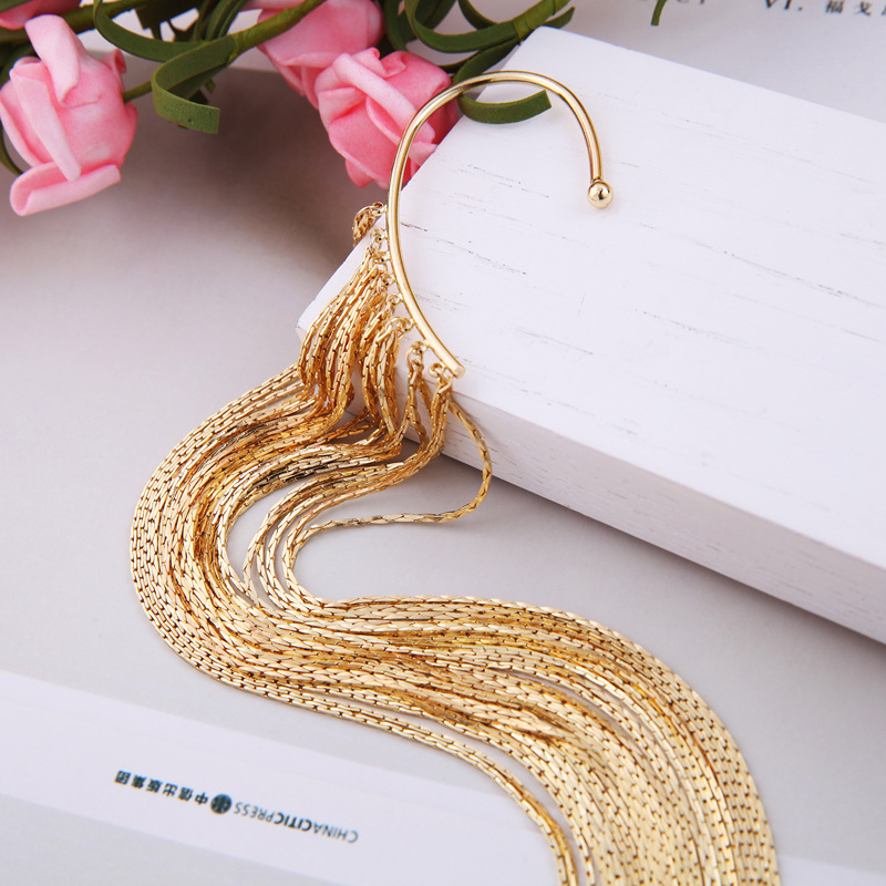 PARTY EARRINGS tassel drop earrings Earhook 
