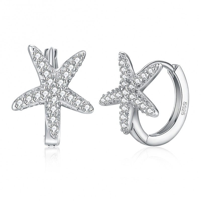 925 silver earrings