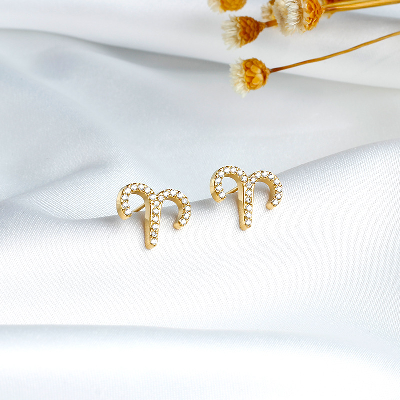 stainless steel constellation earrings stud